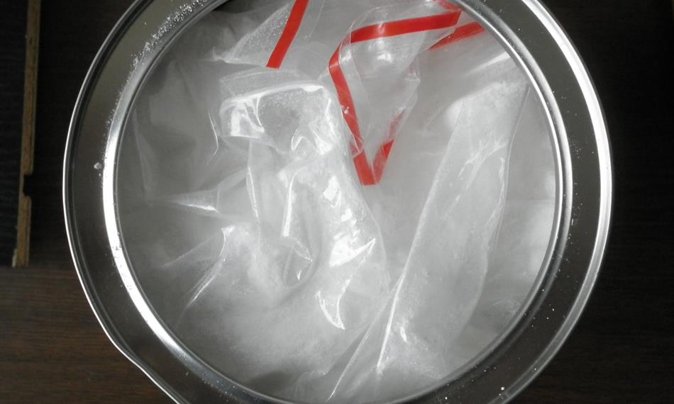 2014-9-30-12552. foto.jpg